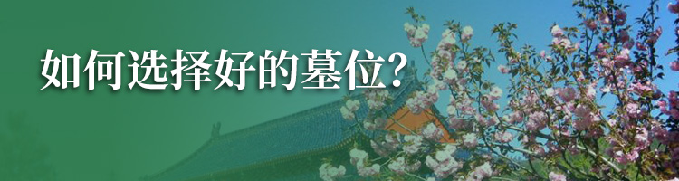 炎黄陵园
